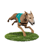 線上娛樂城詐騙娛樂城白金賽狗